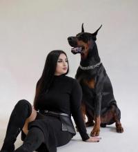 ���� ����������� �������� �� ������ ������������