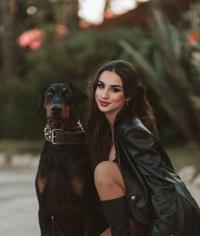 ���� ����������� �������� �� ������ ������������