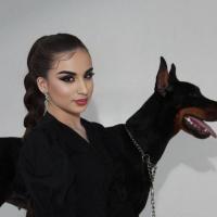 ���� ����������� �������� �� ������ ������������