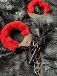 ���� ����������� ������ �� ������ ������������