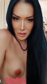 ���� ����������� ����� �� ������ ������������