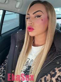 ���� ����������� ���� �� ������ ������������