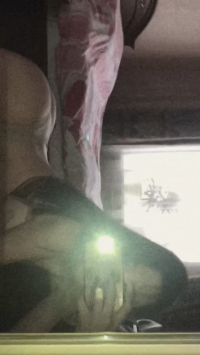 ���� ����������� ����� �� ������ ������������