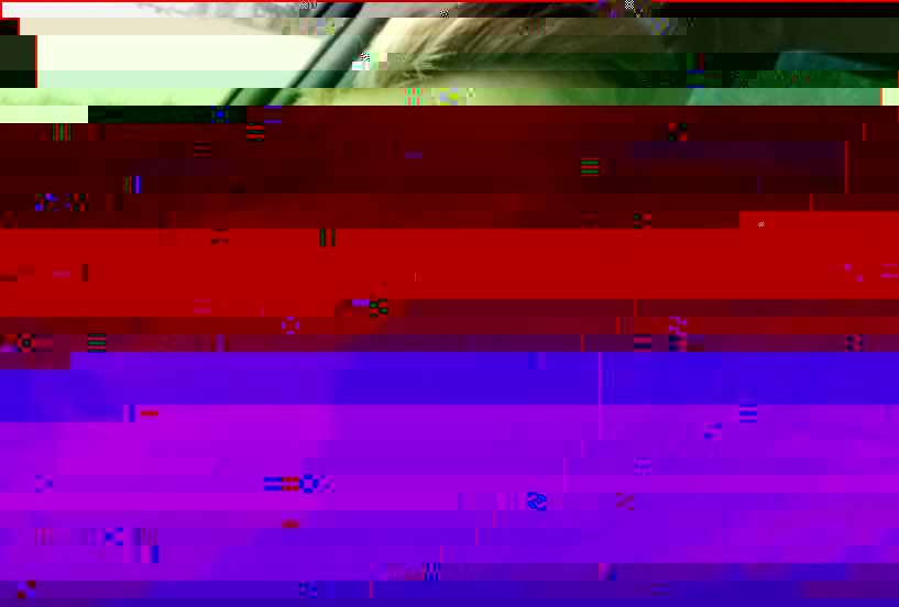 ���� ����������� asdfasdf<h1>1</h1> �� ������ ������������