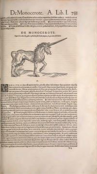 ���� ����������� rg �� ������ ������������