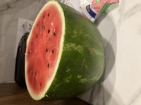 ���� ����������� rg �� ������ ������������